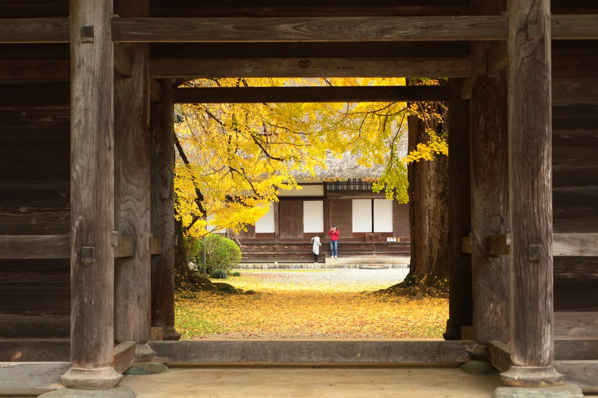 ゆうちょさんの投稿写真