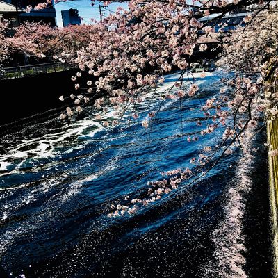  | 絶景事典