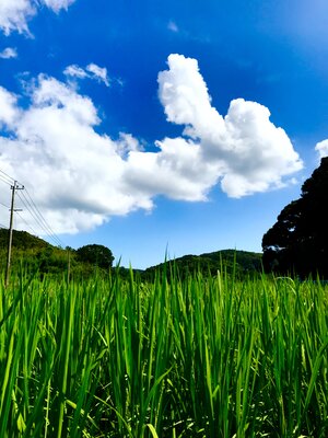  | 絶景事典