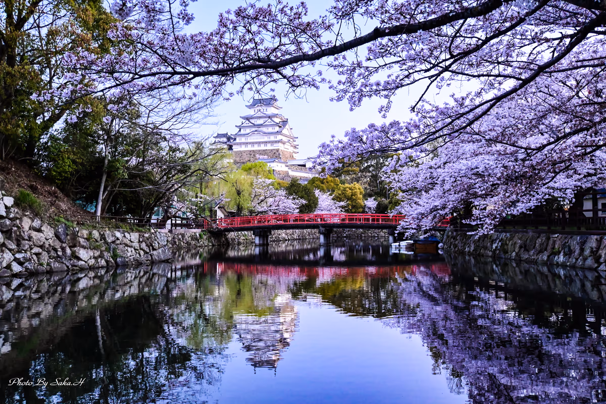 投稿写真：姫路城
