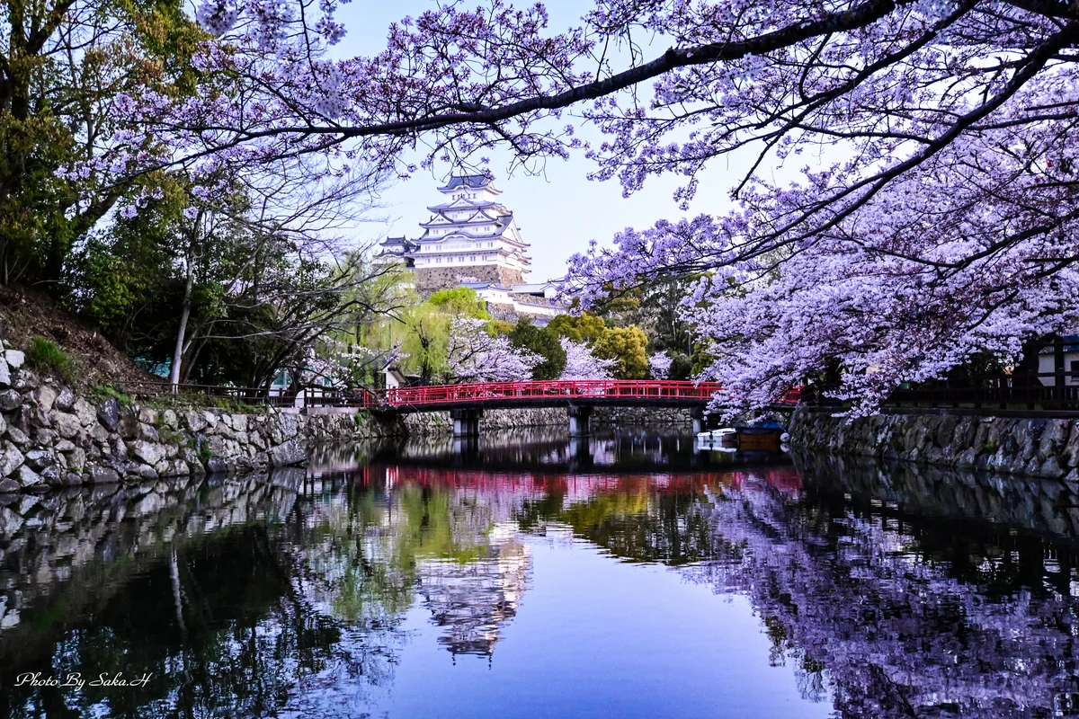 投稿写真：姫路城