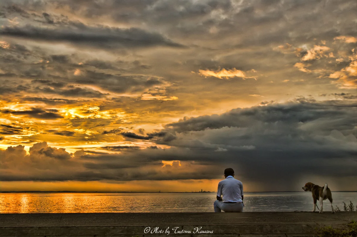 投稿写真：夕暮れの海に眺め佇む。