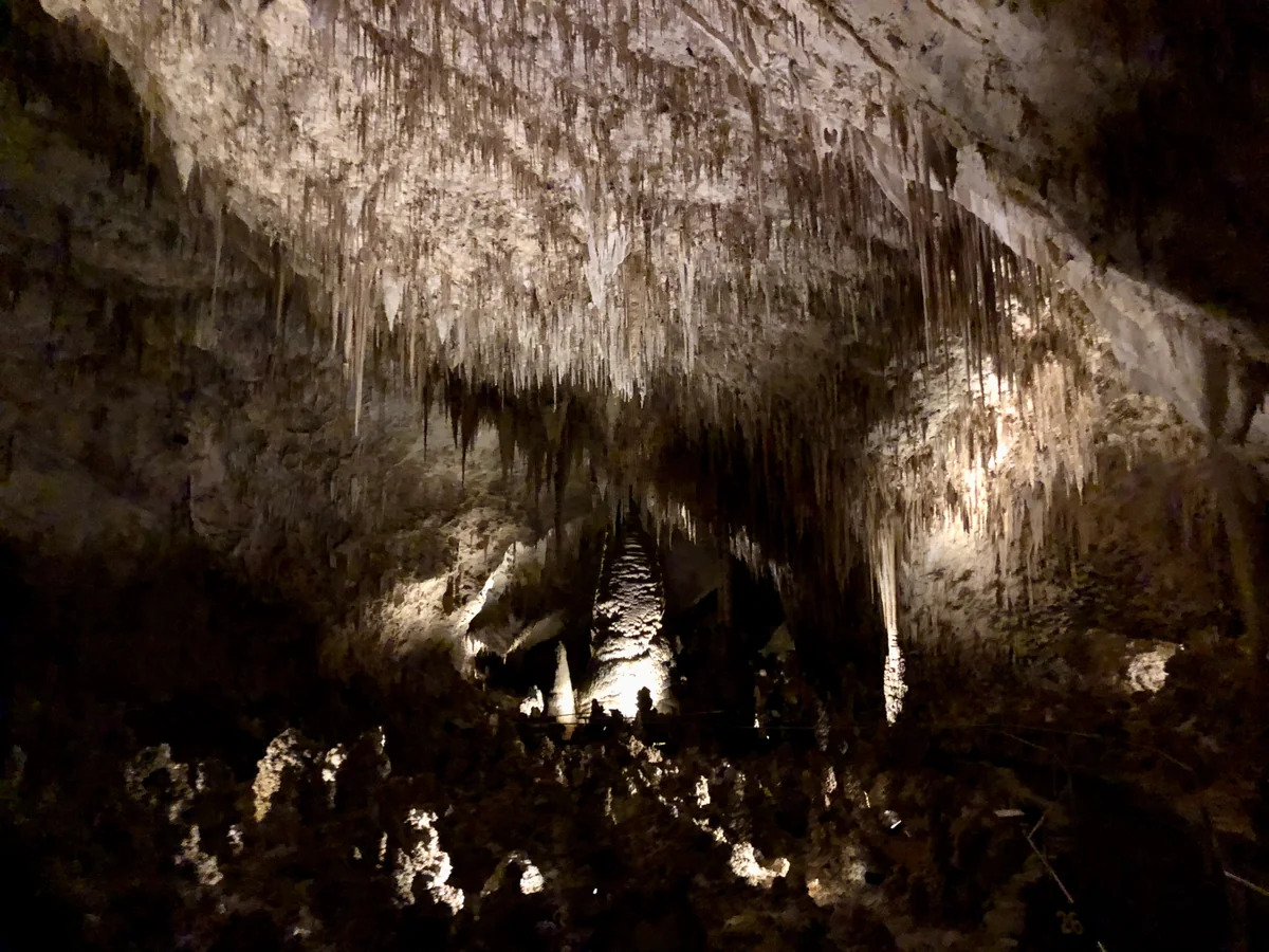 投稿写真：カールズバッド洞窟のビッグルーム。