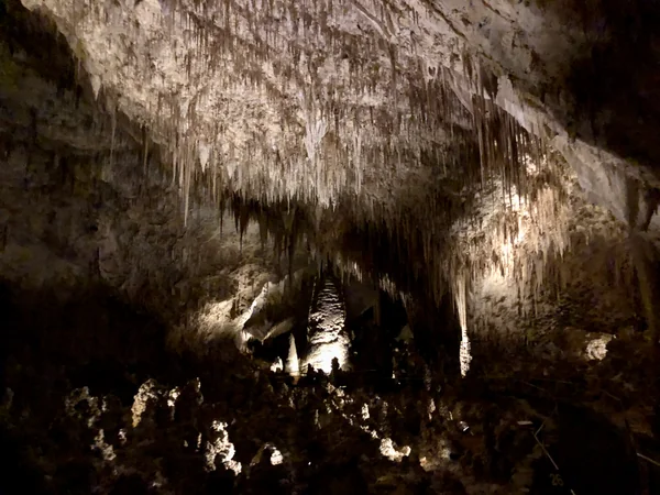 投稿：カールズバッド洞窟のビッグルーム。
