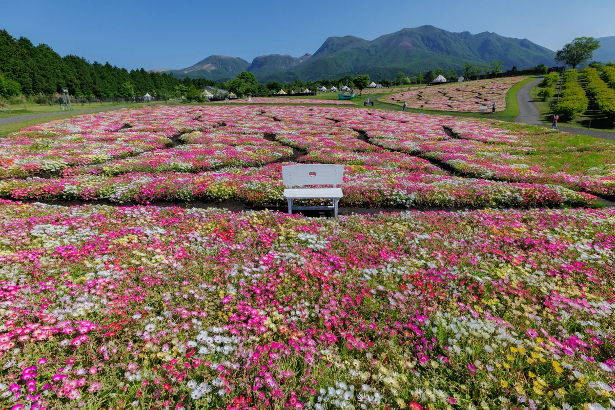 投稿写真：青空とカラフル
