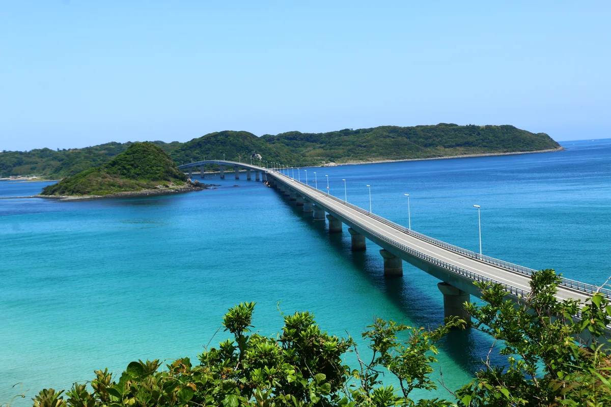 投稿写真：山口県