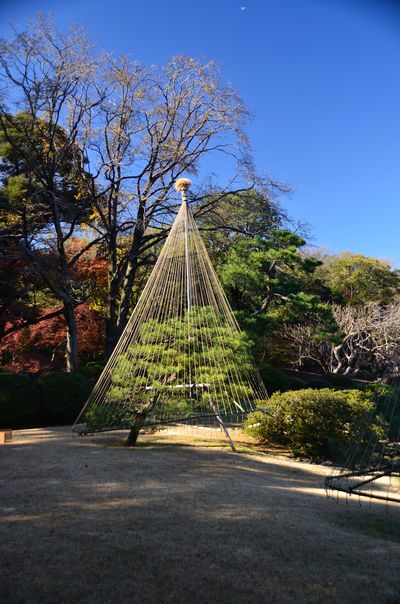  | 絶景事典