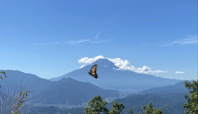  | 絶景事典