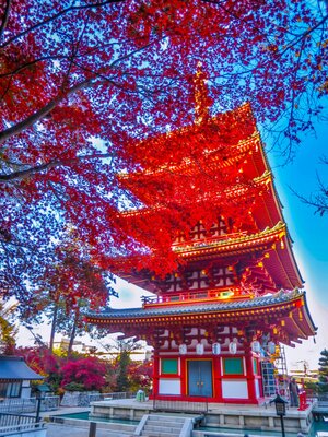  | 絶景事典
