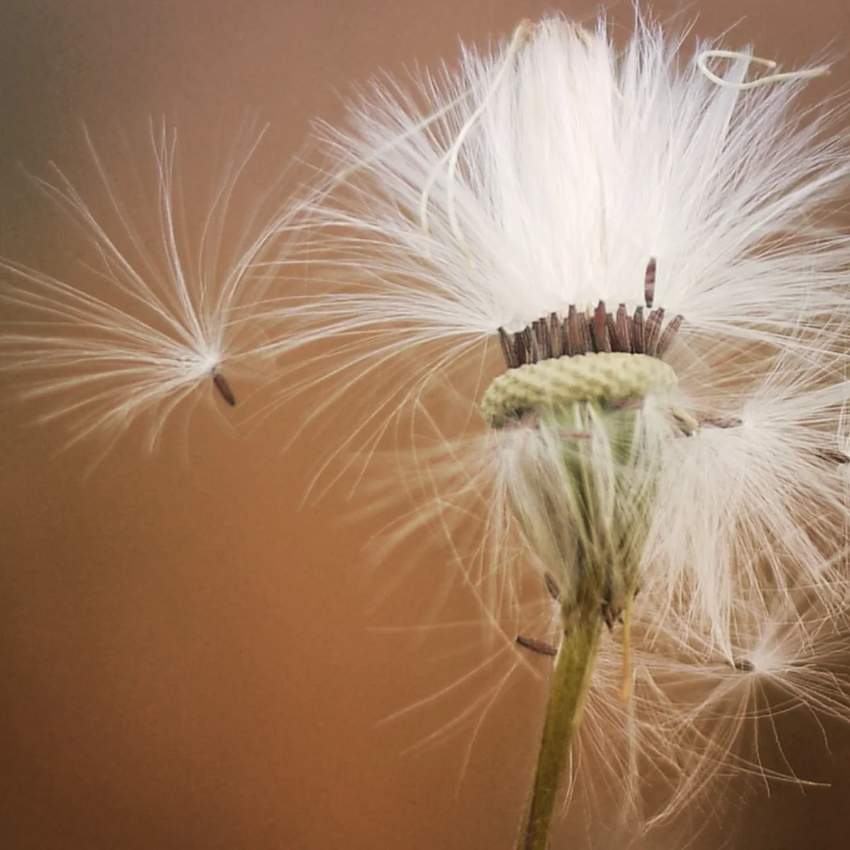 投稿写真：２年前の今頃