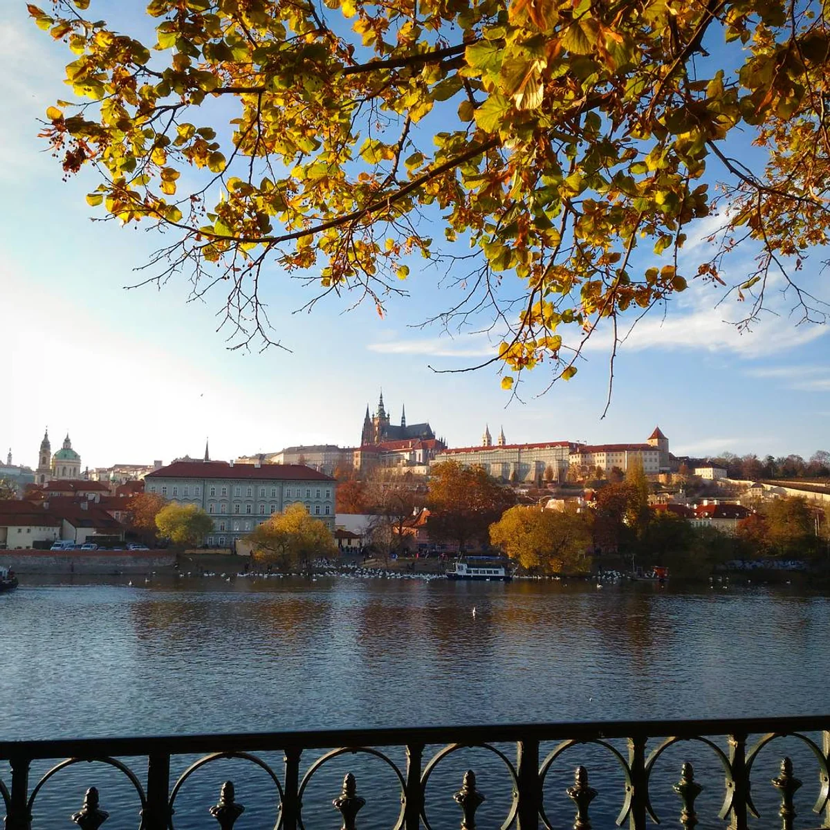 投稿写真：ヴルタヴァ川からのプラハ城 聖ヴィート大聖堂