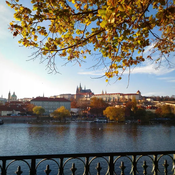 投稿：ヴルタヴァ川からのプラハ城 聖ヴィート大聖堂