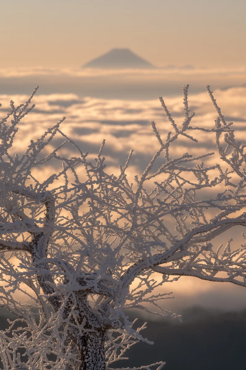 バローズすぎるさんの投稿写真