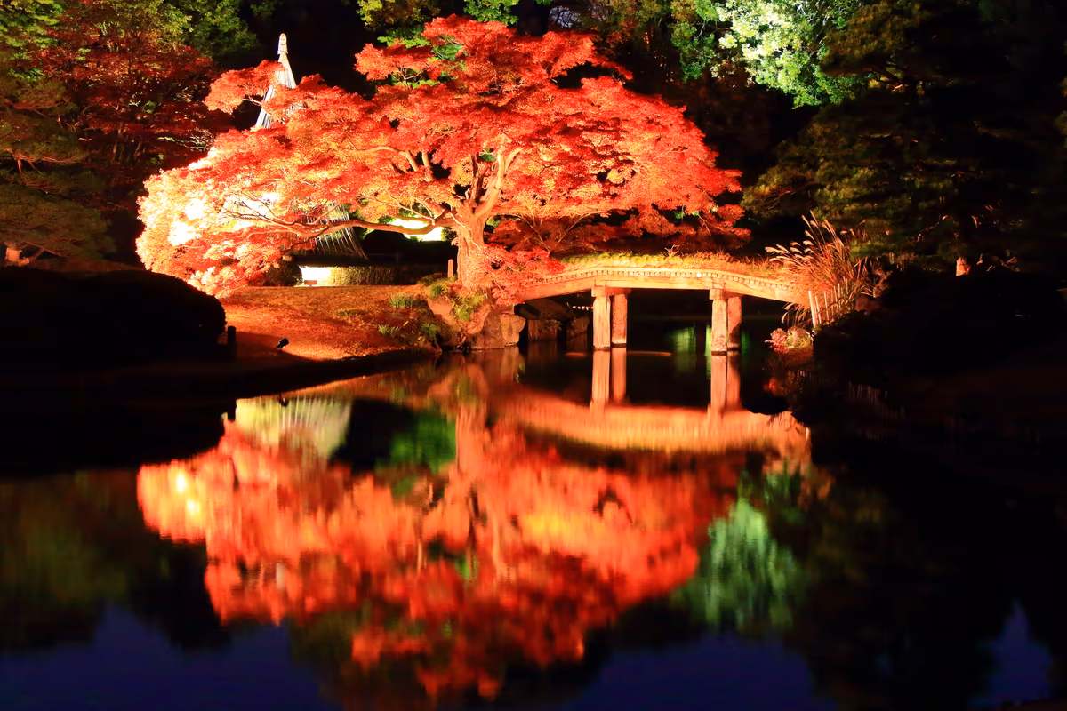投稿写真：闇の中、燃える