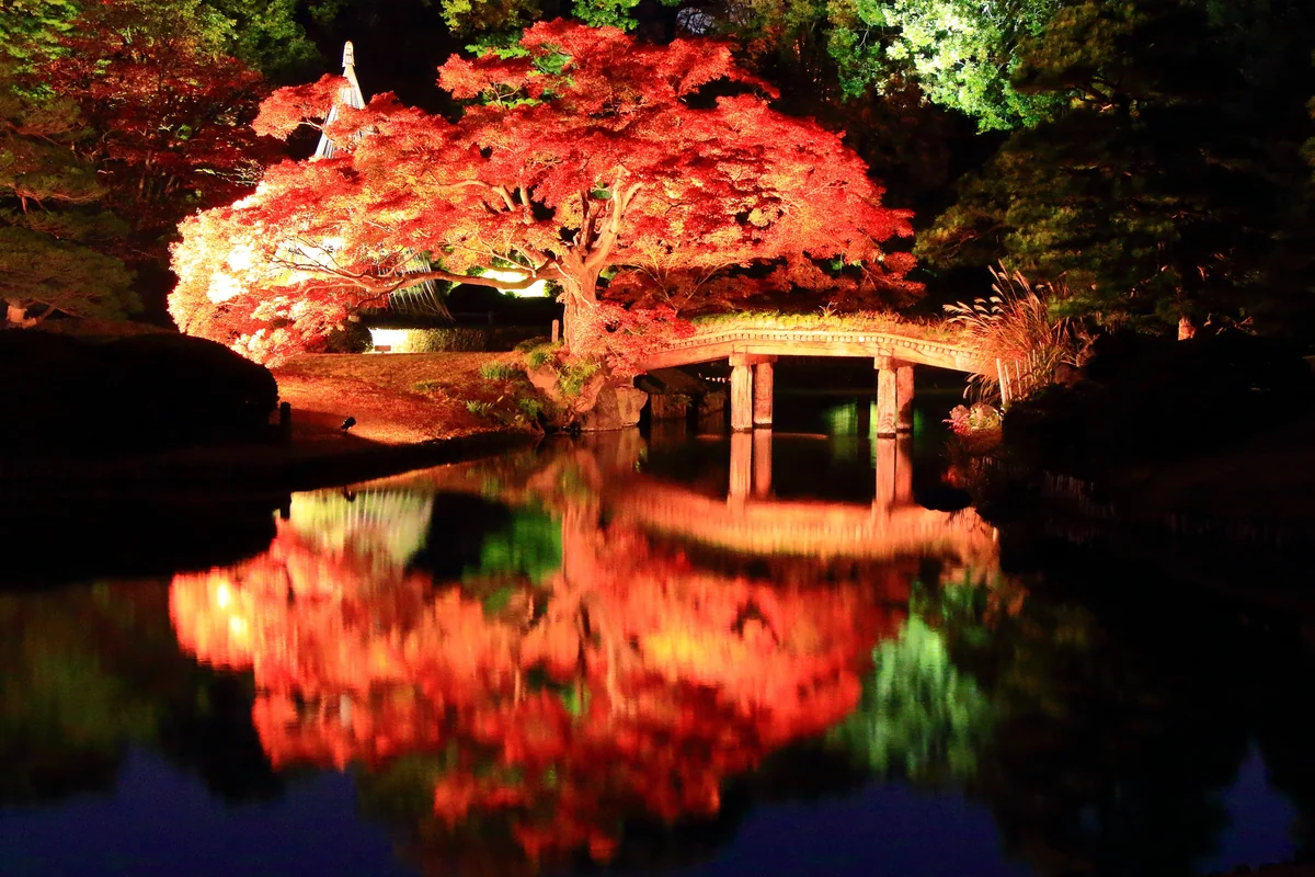 投稿写真：闇の中、燃える