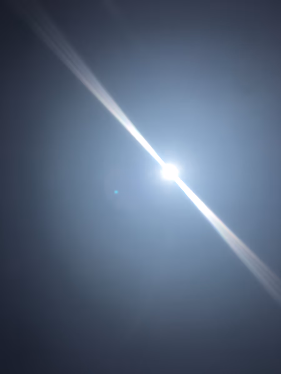 投稿写真：SUN