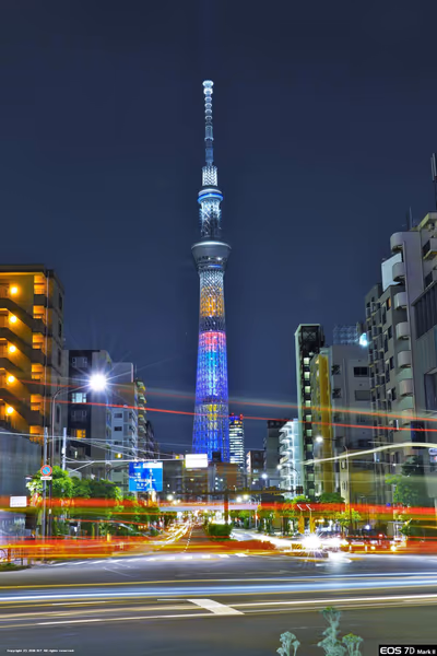 投稿：平凡な日常