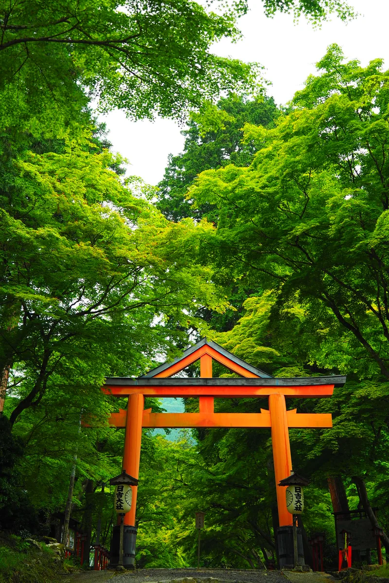 投稿写真：日吉大社　山王鳥居