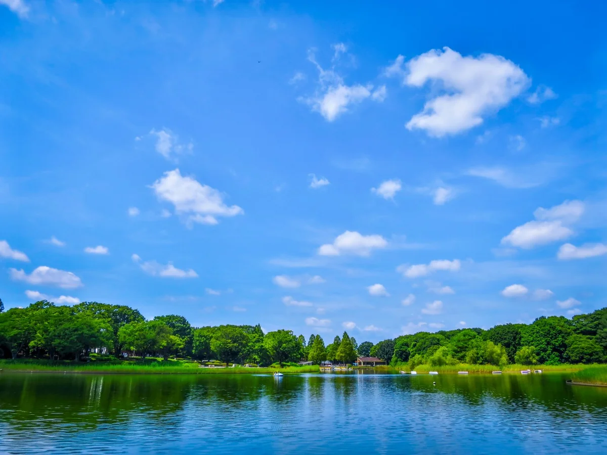 投稿写真：夏空
