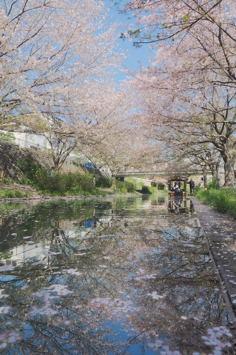 投稿写真：晴れの陽ざし