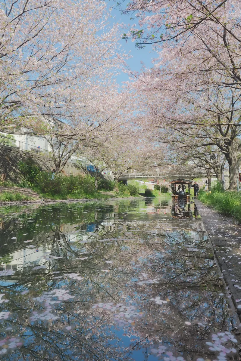 投稿写真：晴れの陽ざし