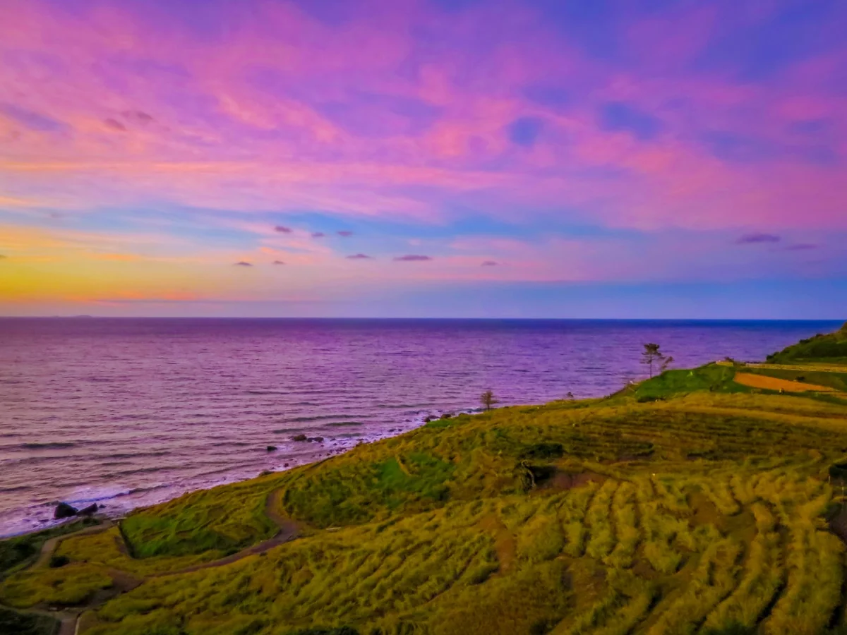 伊藤 和平さんの投稿写真