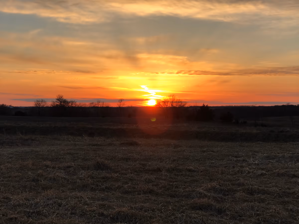 投稿写真：Iowa