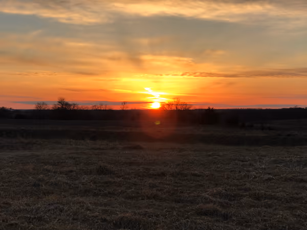 投稿：Iowa