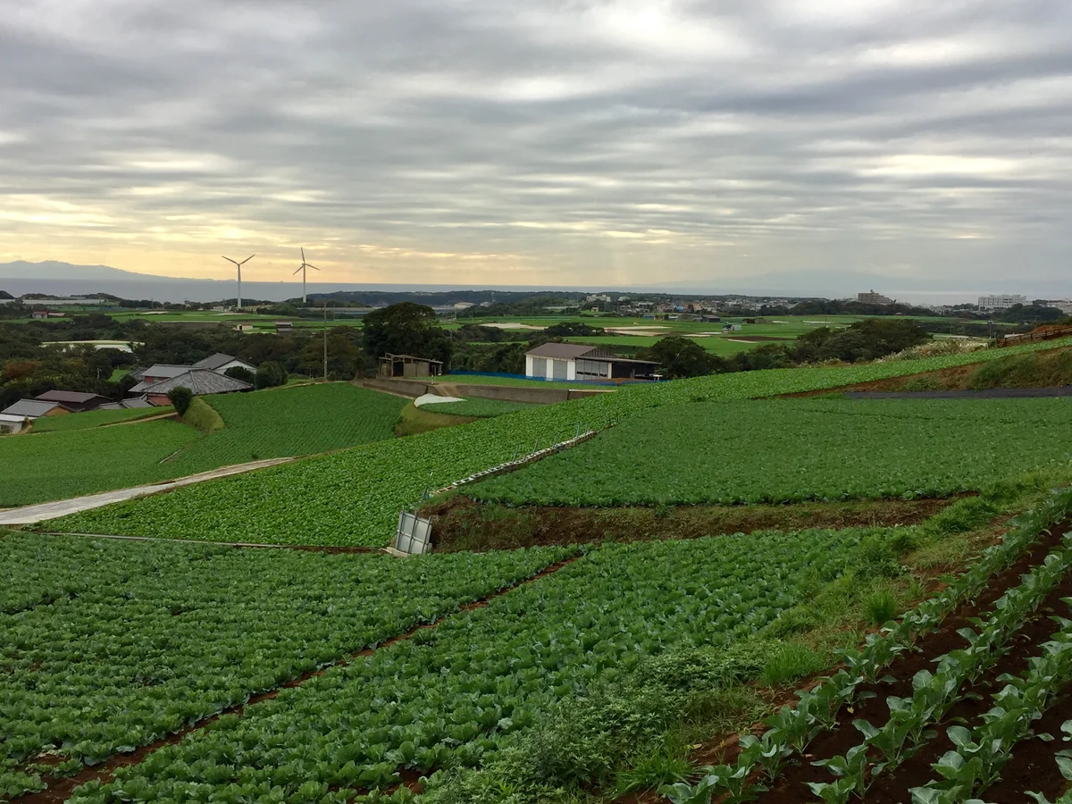 投稿写真：風の谷