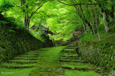  | 絶景事典