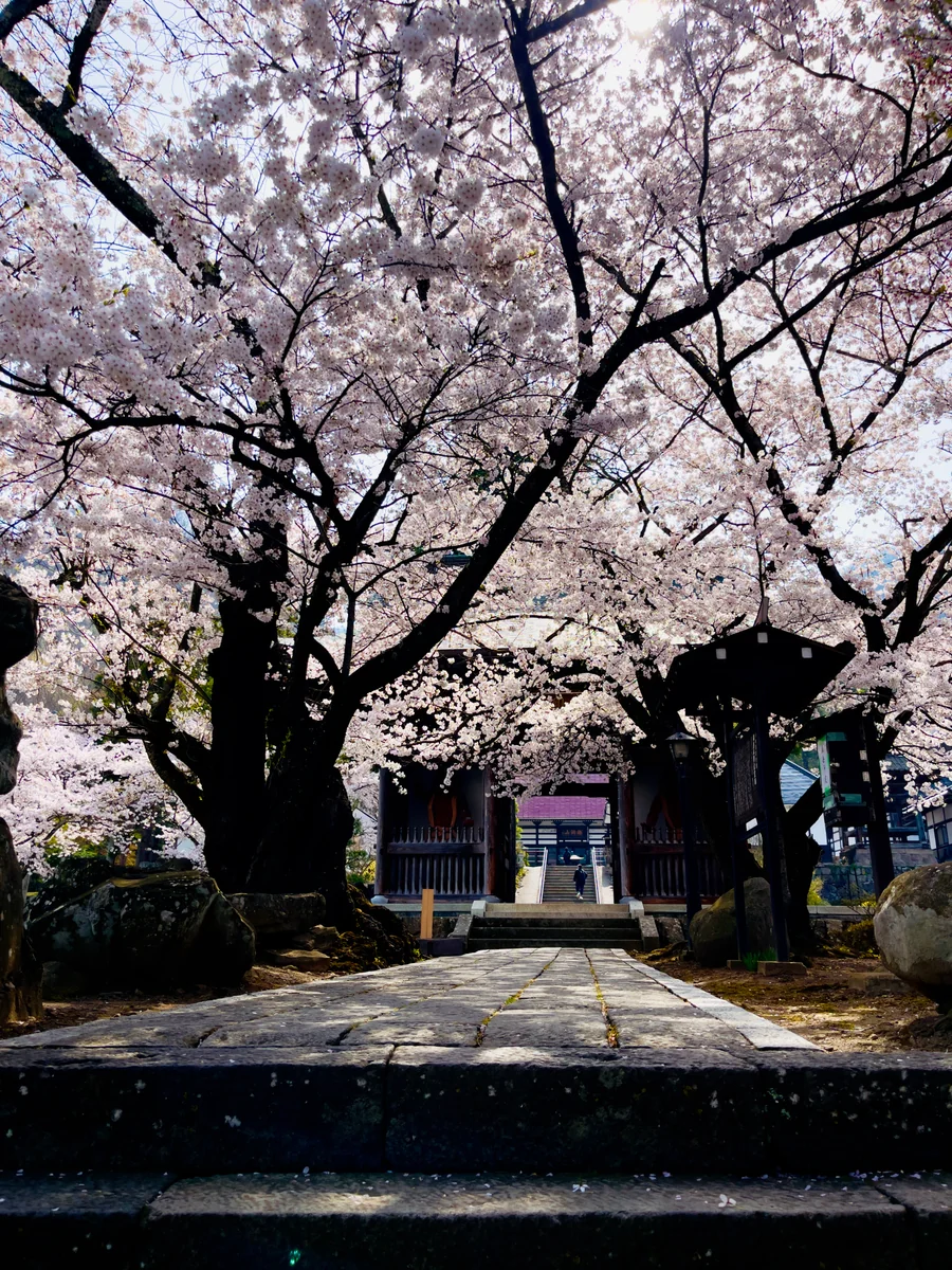 投稿写真：福島正則公霊廟