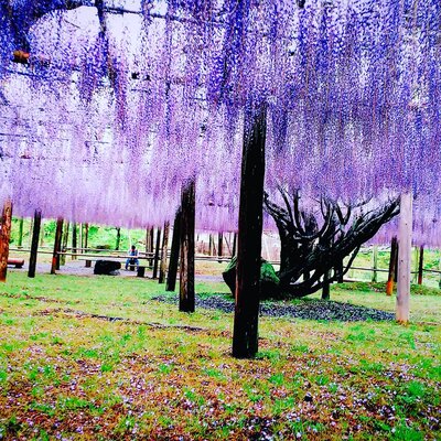  | 絶景事典