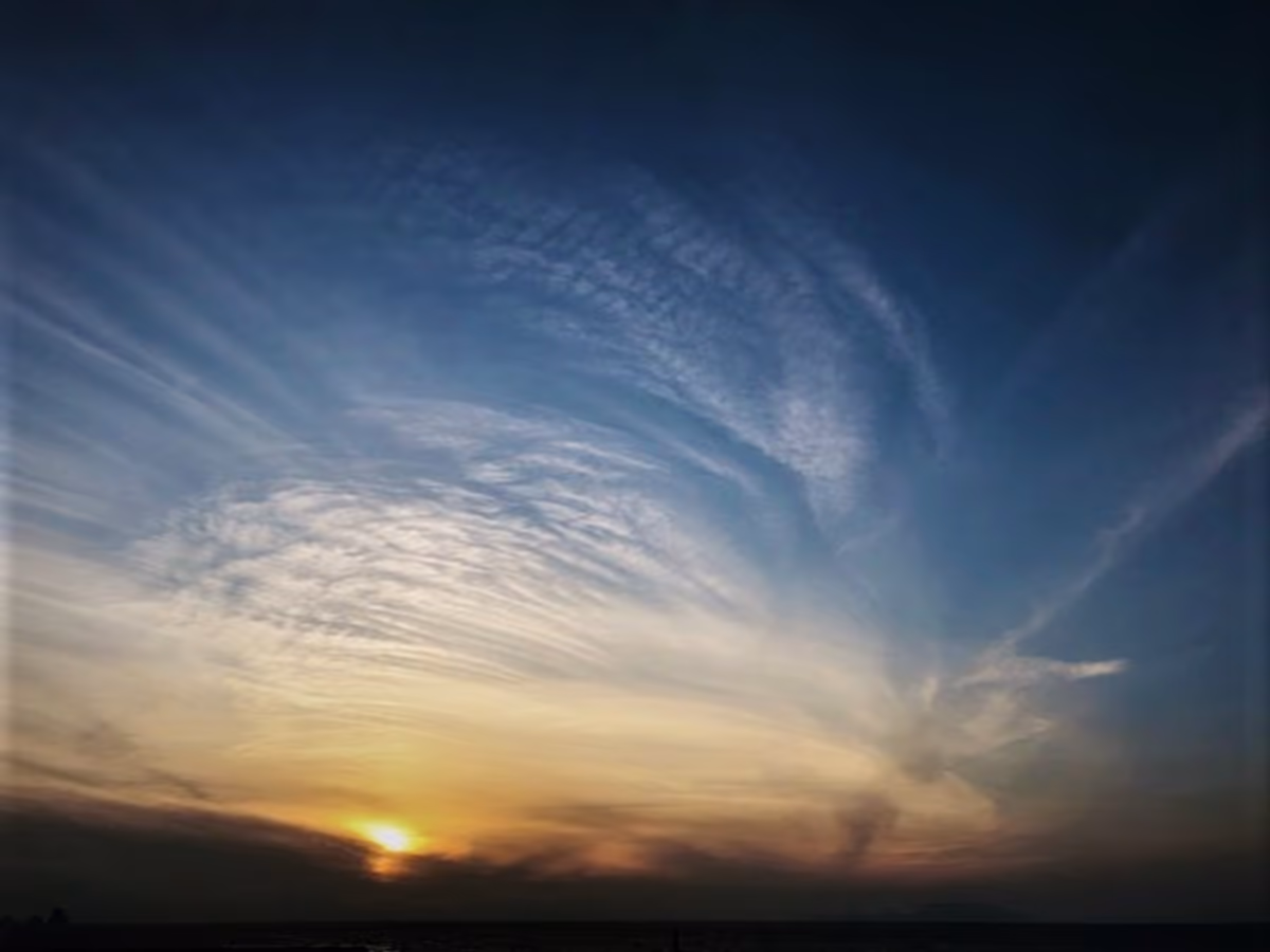 投稿写真：羽のような雲