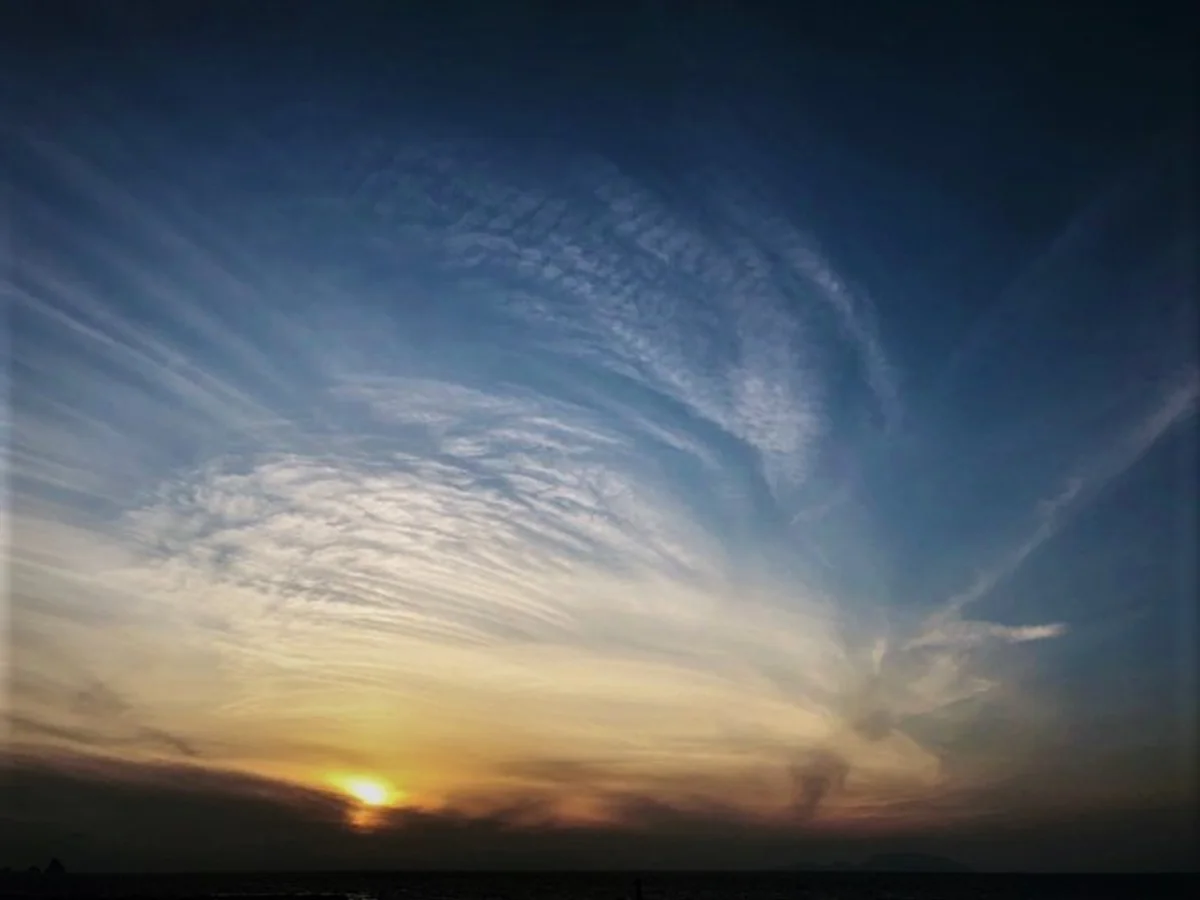 投稿写真：羽のような雲