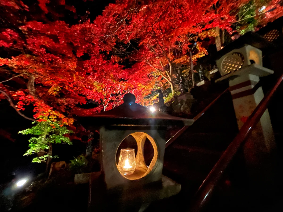 投稿写真：大山寺の紅葉