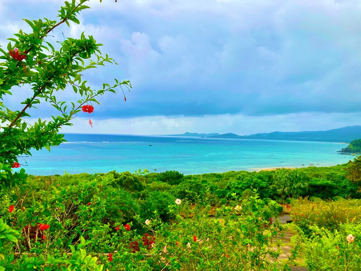 投稿写真：玉取崎展望台より