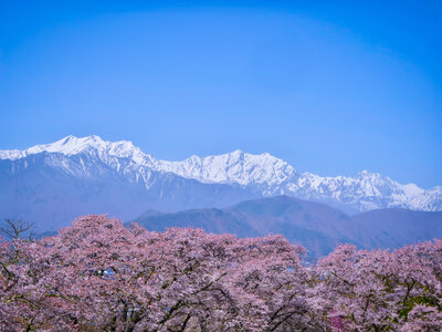  | 絶景事典