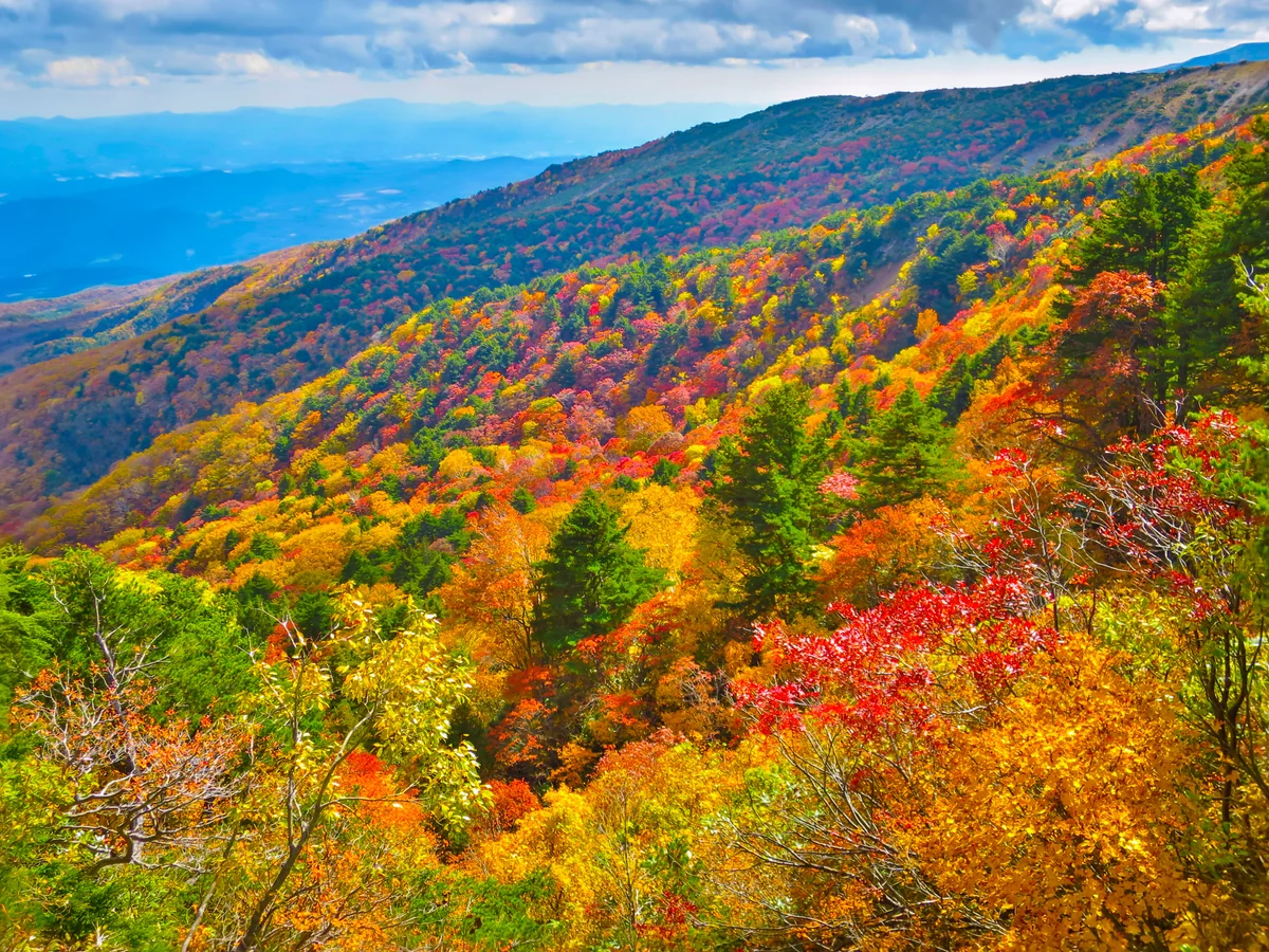 投稿写真：錦繍の山々