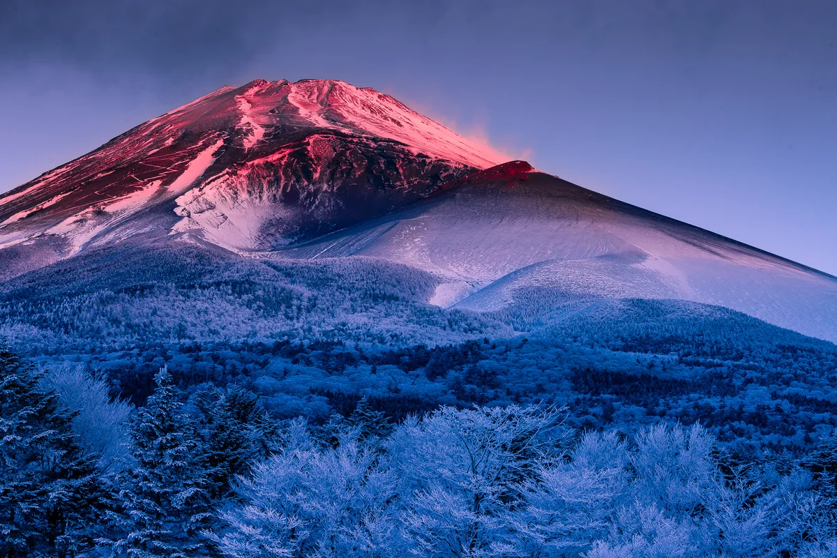 投稿写真：霧氷と紅富士