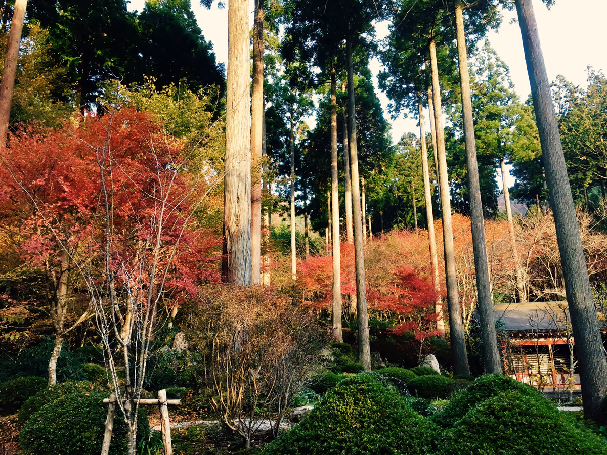 投稿写真：大原三千院