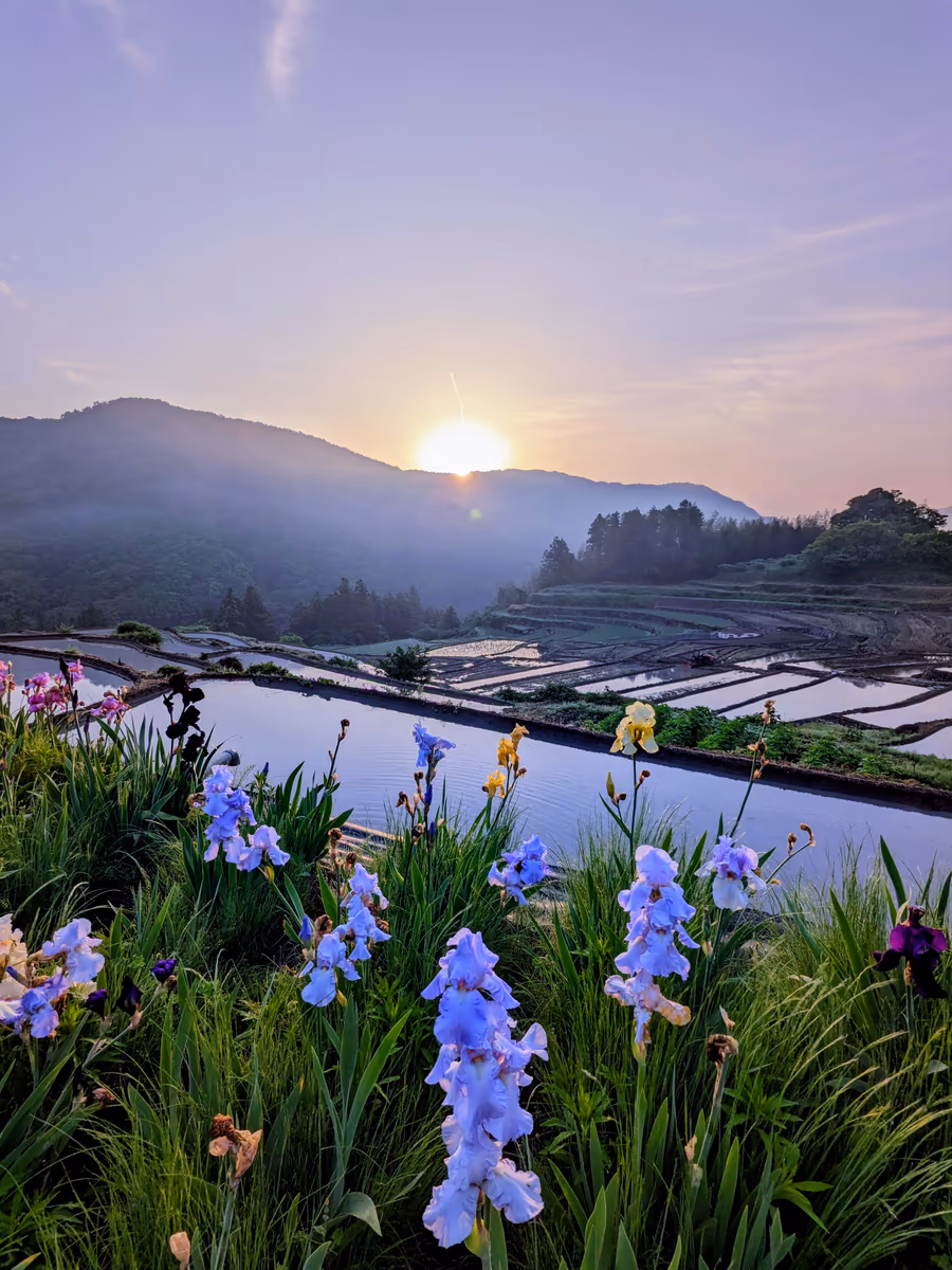 投稿写真：天空の棚田