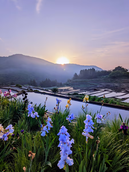 投稿：天空の棚田