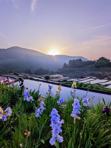 投稿：天空の棚田