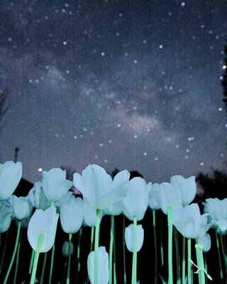  | 絶景事典