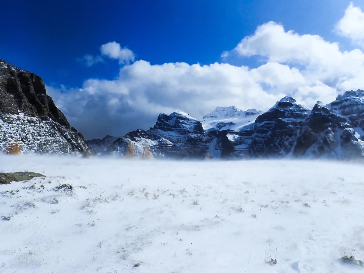 投稿写真：雪舞