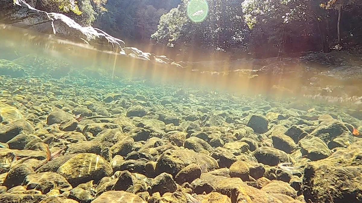 投稿写真：京都の清流、金鈴峡