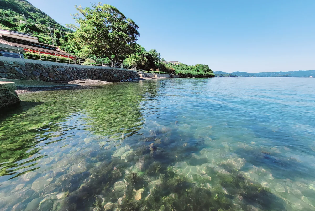 投稿写真：透明感