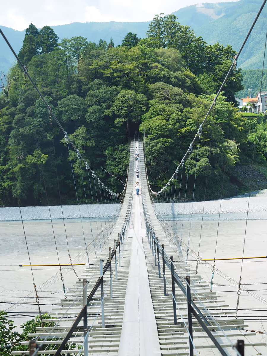 投稿写真：塩郷釣橋