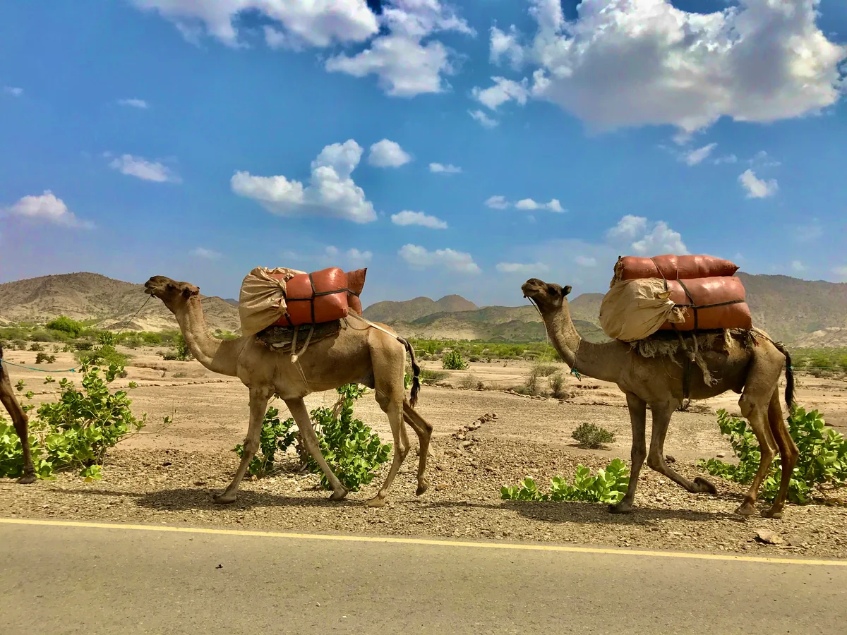 ♪りょーちんの旅冒険さんの投稿写真
