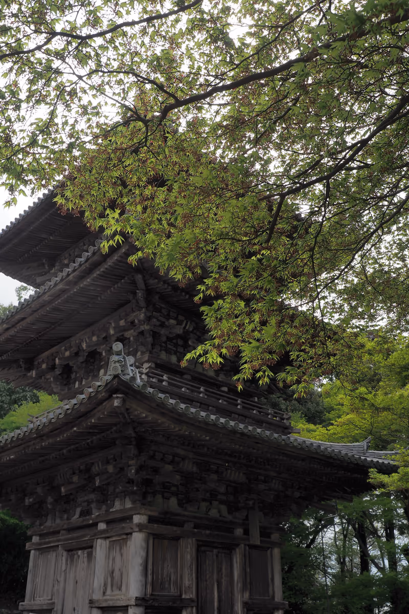 投稿写真：安土城聰見寺三重塔